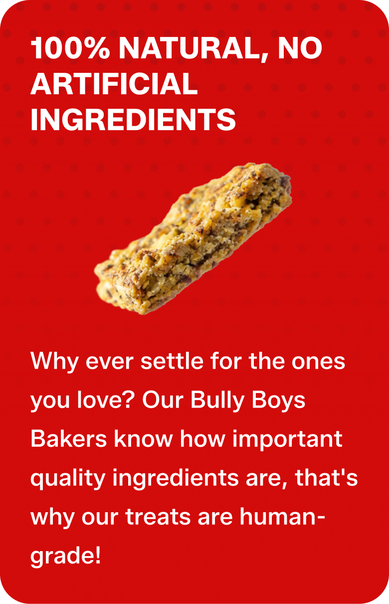 100% NATURAL, NO ARTIFICIAL INGREDIENTS